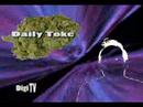 Daily Toke on Money Money Money Daily Toke on Money Money Money