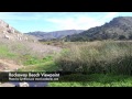 Pacifica Chamber of Commerce