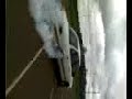 Crown Victoria Peel out