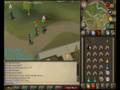 finaly blow 500mil /lure/team pk/solo/80k trick