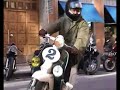 Rockers vs. Mods II Rockers vs. Mods II