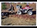 chasse a l\ chasse a l\