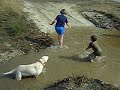 bailey swimming with campers