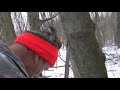 Shrimper from Florida takes an estimated 300" whitetail buck wit