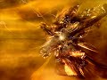 Delerium feat Nerina Pallot - Truly (Wise Buddah Radio Edit) Delerium feat Nerina Pallot - Truly (Wise Buddah Radio Edit)