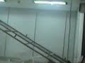 Pelo Feo molestado por el diablito......