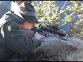 Rutting Season 2007