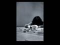 videos de Eine wahre Geschichte