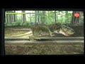 The Lost World: Jurassic Park - Tyrannosaurus Rex Part III