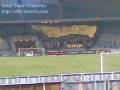 videos de UYD tifo zamalek match