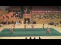 videos de 2008海峽兩岸及港澳地區太極拳邀請賽 - 上海市浦東新區武術協會 楊式太極刀