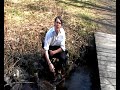 Thore Callmars Orkester - Mustaschen