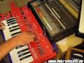 Roland SH-101 + TR-808 Jam