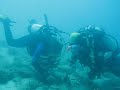 Insel Cres, Diving Center Cres, Tauchen mit Meeresbiologin