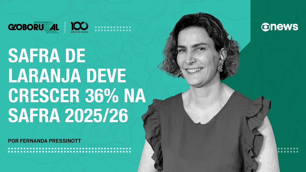 Safra de laranja deve crescer 36% na safra 2025/26 | Globo Rural