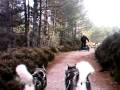 Second part of the SHCGB Aviemore trek 2009, In front you can see Wayne with Oska and Inca and at the front is Mark with Cutter and Cuba. We had such fun.