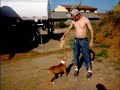 Pit Bull Adestramento