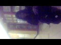 videos de Robby ft. S-Kay - Breakdance- Singin' just for fun