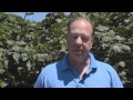 Meet A Kiwi Farmer!
