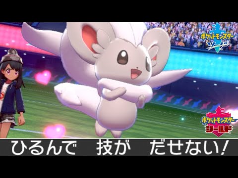 動画