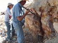 Wine Rocks? from the Quarry to a Wine Rock? Wine Rocks? from the Quarry to a Wine Rock?
