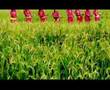 selo sangam 