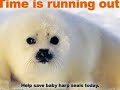 Stop Animal Cruelty