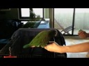 charging-the-clicker.html