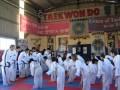 videos de taekwondo todo el 2008-galeria de fotos-pablo ferreyra