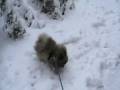 videos de Geovany 6