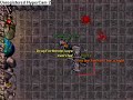 Greenhorn on Honera - Level 22 Knight