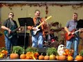 Loose Dogs Bite - Cover Band - Castanets (LIVE)