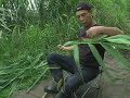???????????grass carp fishing in the hiroshiba pond of japan