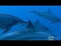 STAMATIS SPANOUDAKIS - Playing With Waves: http://t.co/Yx8lAoRpXM via @youtube