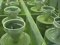Matcha Green Tea, What is it?