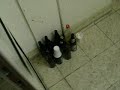 Polizeiparty am n�chsten Tag