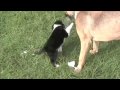 Libby & Luke Tussle Over Water Bottle