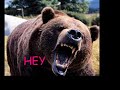 Nelly Furtado- Say It Right (Misheard Lyrics)