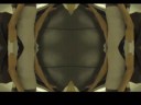 Video screenshot