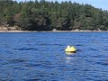 AXYS TRIAXYS Mini Directional Wave Buoy Deployed