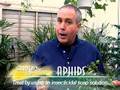 Aphids