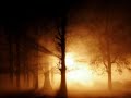 Flashbulb - I Think In a Minute or So I\