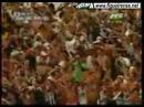 Bvaê 0x3 Figueira Bvaê 0x3 Figueira