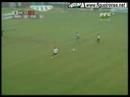 Bvaê 0x3 Figueira