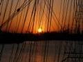 Our harbour and 'Northern Light' Jazz in Scandinavia