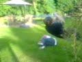 jacks homemade swing