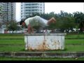 Parkour Recreio