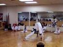 Marcus C. Shealy Adavanced Speed Punch Break Marcus C. Shealy Adavanced Speed Punch Break