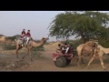 khuri Rajasthan en Indele  desert