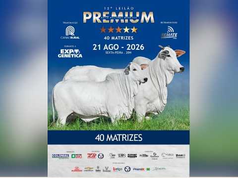 12° Leilão Premium Noite Nacional Matrizes